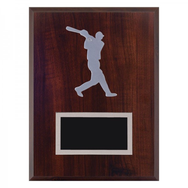Baseball Plaque T20-131100