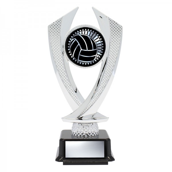 Tribute Silver Cup Presentation Award Trophy  10 inch Free p&p & Engraving 