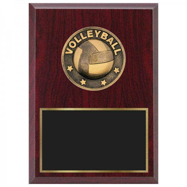 Volleyball Plaque 1870A-XF0017