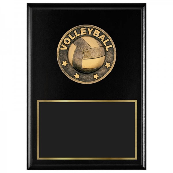 Plaque Volleyball 1770A-XF0017