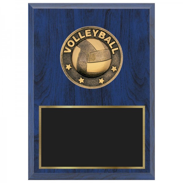 Plaque Volleyball 1670A-XF0017