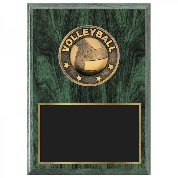 Volleyball Plaque 1470-XF0017