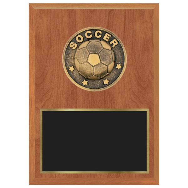 Soccer Plaque 1183-XF0013