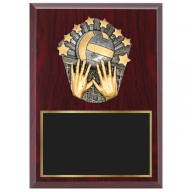 Volleyball Plaque 1870-XPC17