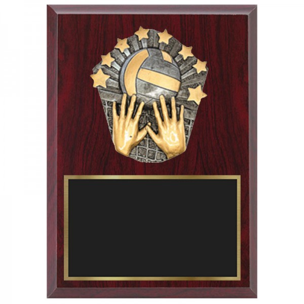 Plaque Volleyball 1870-XPC17
