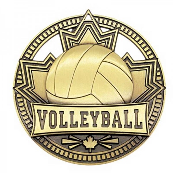 Gold Volleyball Medal 2.75" - MSN517G