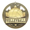 Gold Volleyball Medal 2.75" - MSN517G