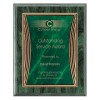 Green and Green Tribute Plaque PLV555GR-GR