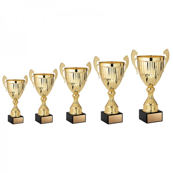 Gold Metal Cup EC5025 sizes