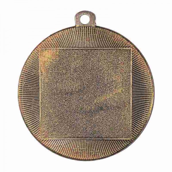 Bronze Gymnastics Medal 2" - MSQ25Z back