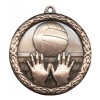 Bronze Volleyball Medal 2.5" - MST417Z