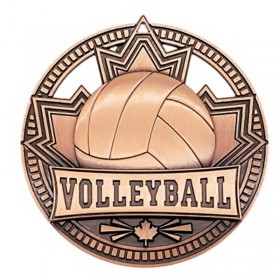 Bronze Volleyball Medal 2.75" - MSN517Z