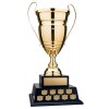 Gold Annual Trophy Cup 26" H - DACB8145 shields
