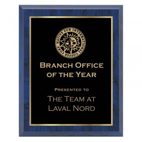 Blue and Gold 8 x 10 Plaque - PLV120-810-BLG