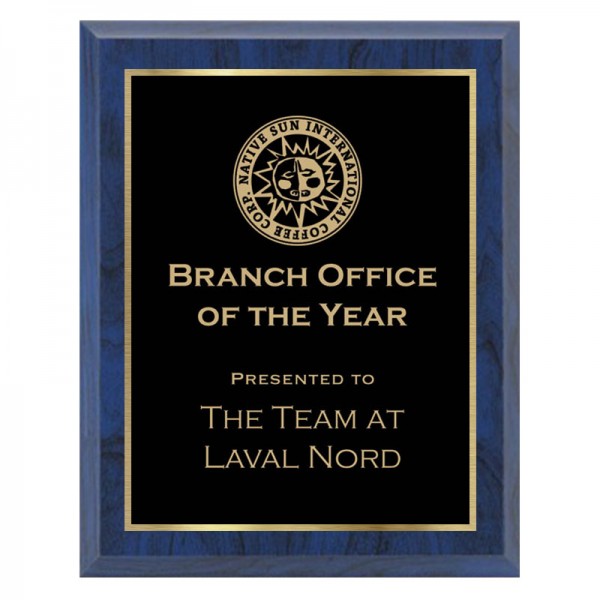 Blue and Gold 10 x 13 Plaque - PLV120-1013-BLG