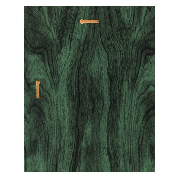 Plaque 9 x 12 Green and Green PLV555G-GN-GN back