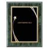 Plaque 8 x 10 Green and Black PLV562E-GR-BK template