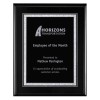 Plaque 9 x 12 Black and Silver PLV501G-BK-S