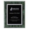 Plaque 8 x 10 Green and Silver PLV501E-GN-S