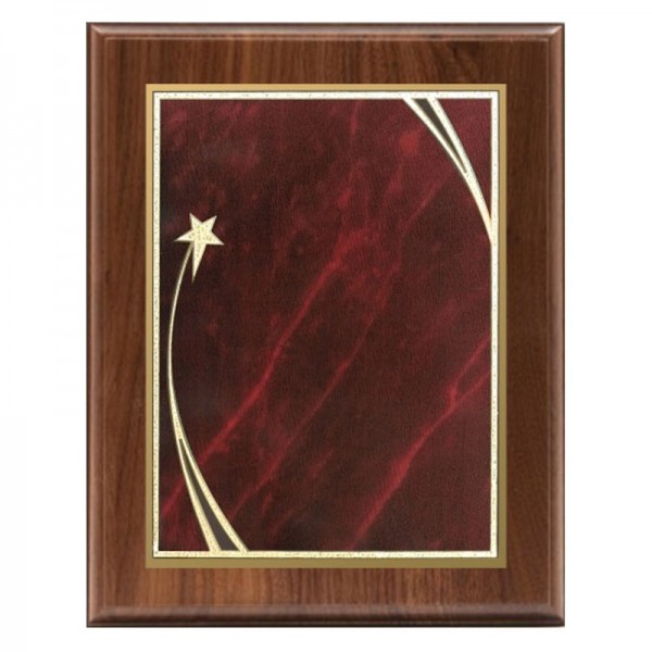 Shooting Star Plaque 9 x 12 PLW522G-RD template