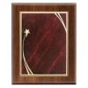 Plaque Shooting Star 9 x 12 PLW522G-RD template