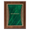 Plaque Tribute 9 x 12 PLW547G-GN template