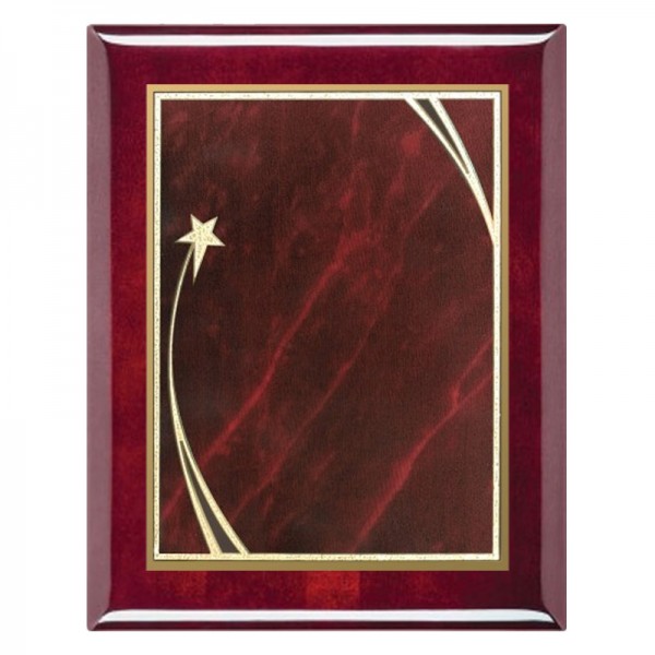 Plaque Shooting Star 9 x 12 PPF214G-RW-RD template