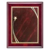 Plaque Shooting Star 9 x 12 PPF214G-RW-RD template