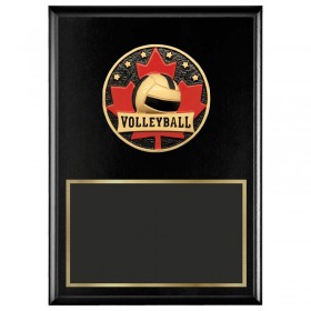 Plaque Volleyball 1770-XCF117