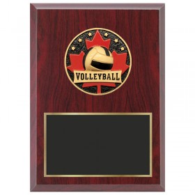 Red Volleyball Plaque 1870-XCF117