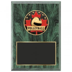 Plaque Volleyball Verte 1470-XCF117