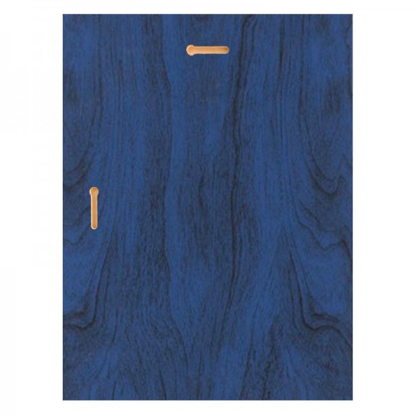 Plaque Golf Bleue 1670-XCF107 - fixture arrière