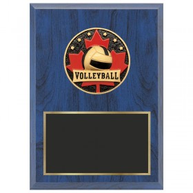 Blue Volleyball Plaque 1670-XCF117
