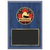 Plaque Volleyball Bleue 1670-XCF117