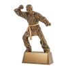 Martial Arts Trophy A1385C