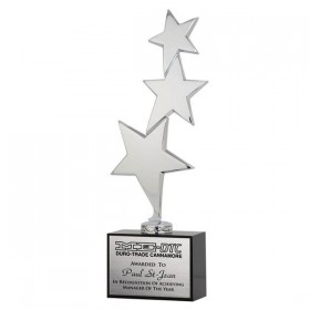 Silver Stars trophy DA9721